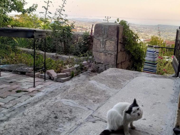 Apartment Acan Guenluek Kiralik Ev Uerguep Mustafapasa